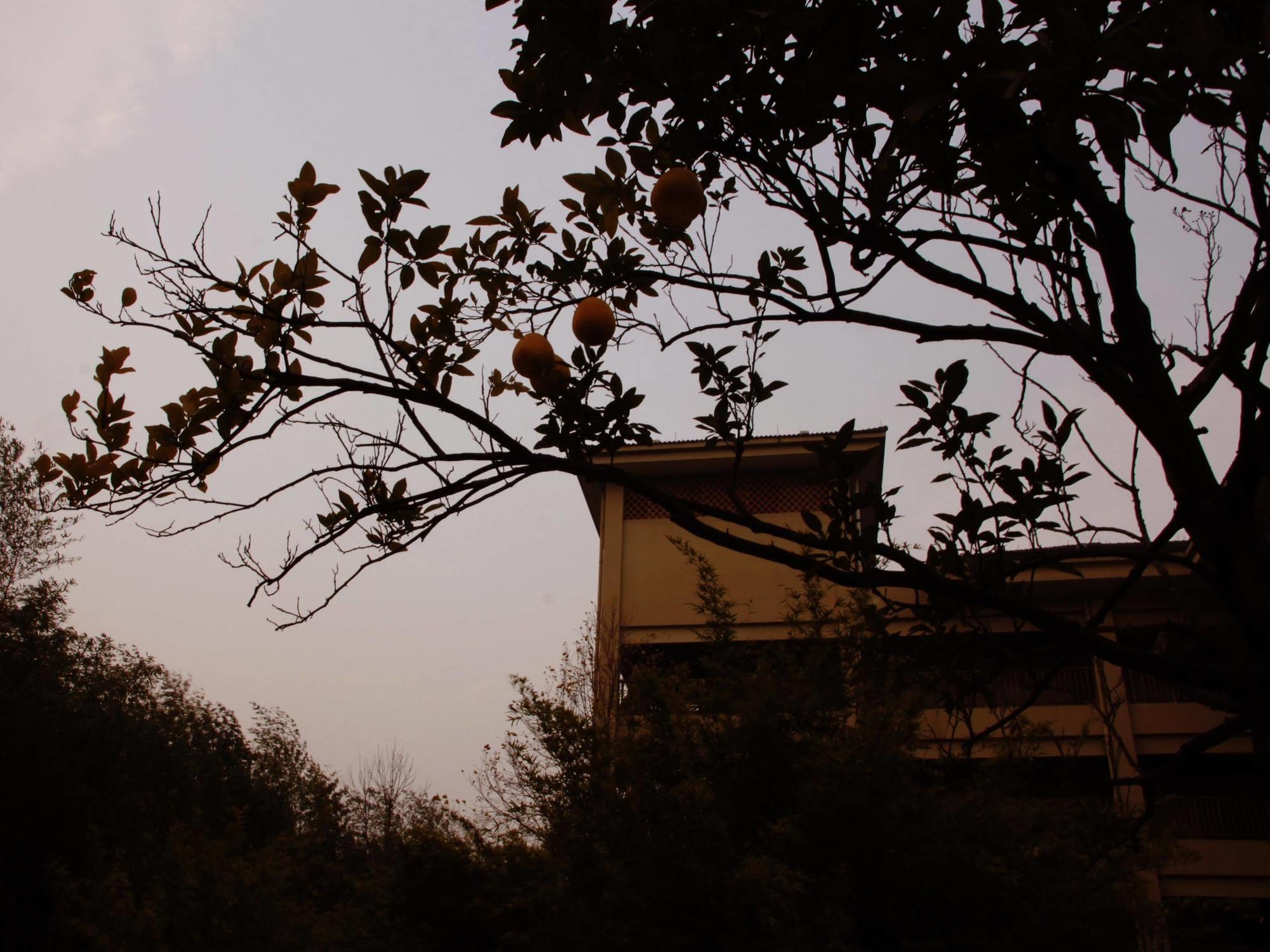 Hna Resort Yunqi Hangzhou Buitenkant foto
